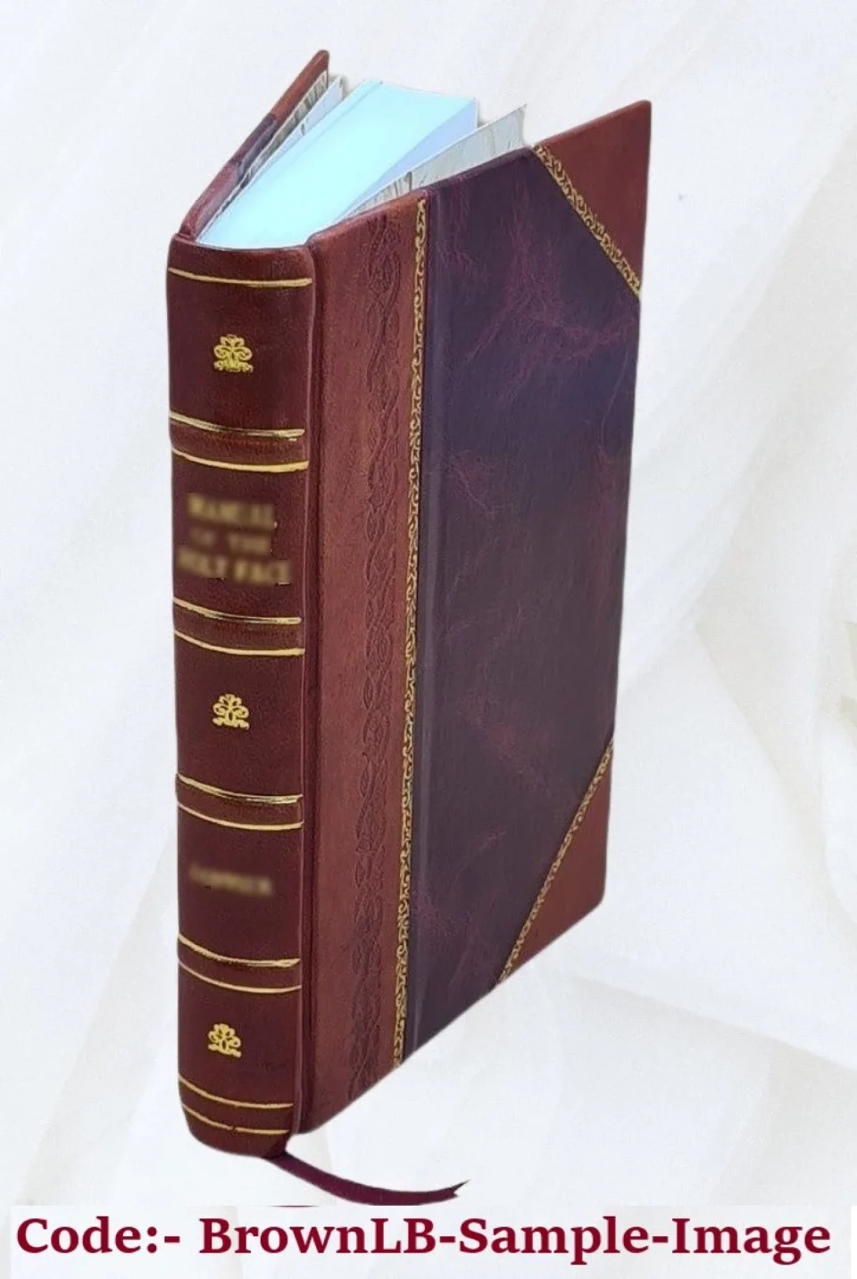 Clear Thickened Impressionist painting, its genesis and development 1904 [Leather Bound]